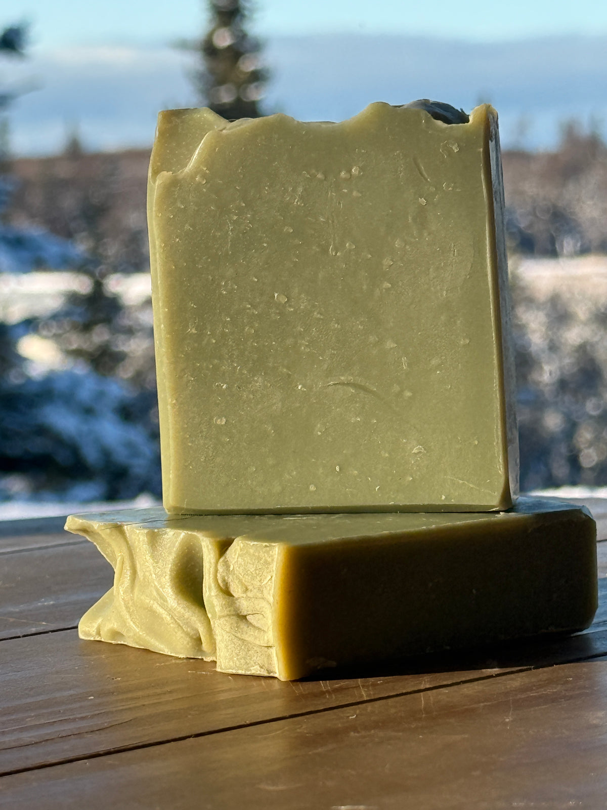 AK Natural Bar Soap: Arctic Sugared Spruce